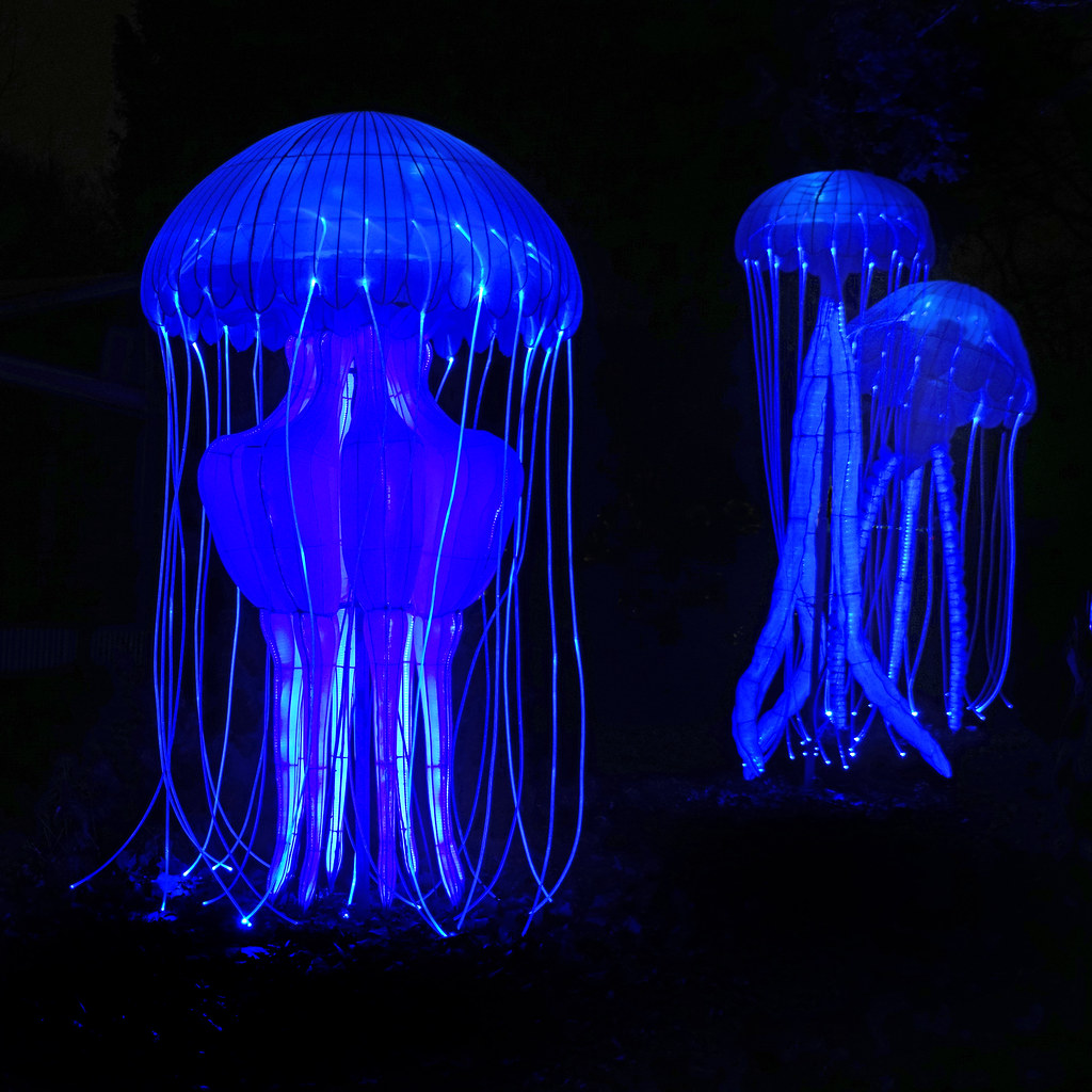Lampe en forme de méduse illuminée en bleu pendant l'exposition au jardin des plantes