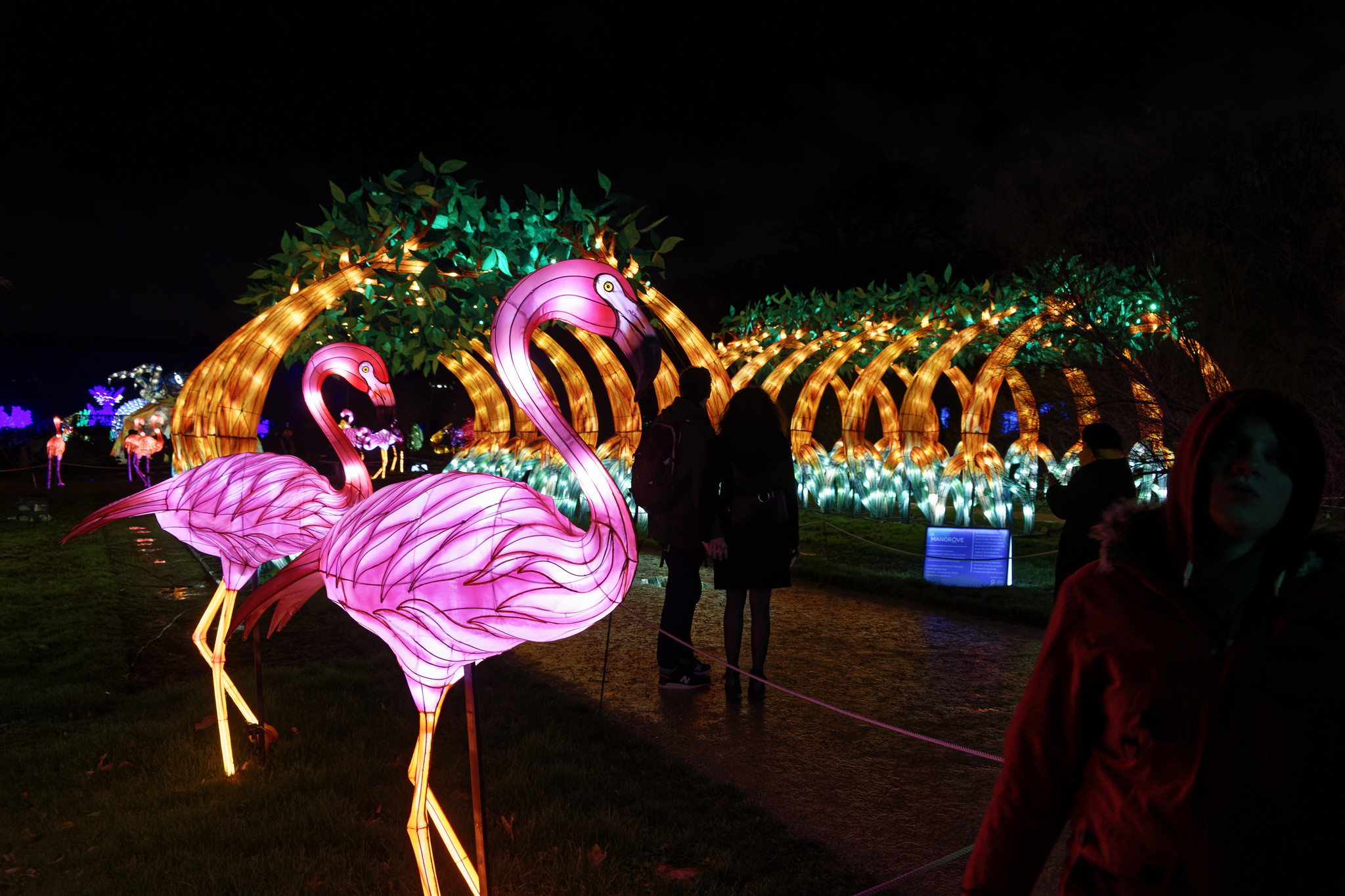 Entrée du jardin Jardin des plantes illuminations avec des lampes en forme de cygne.