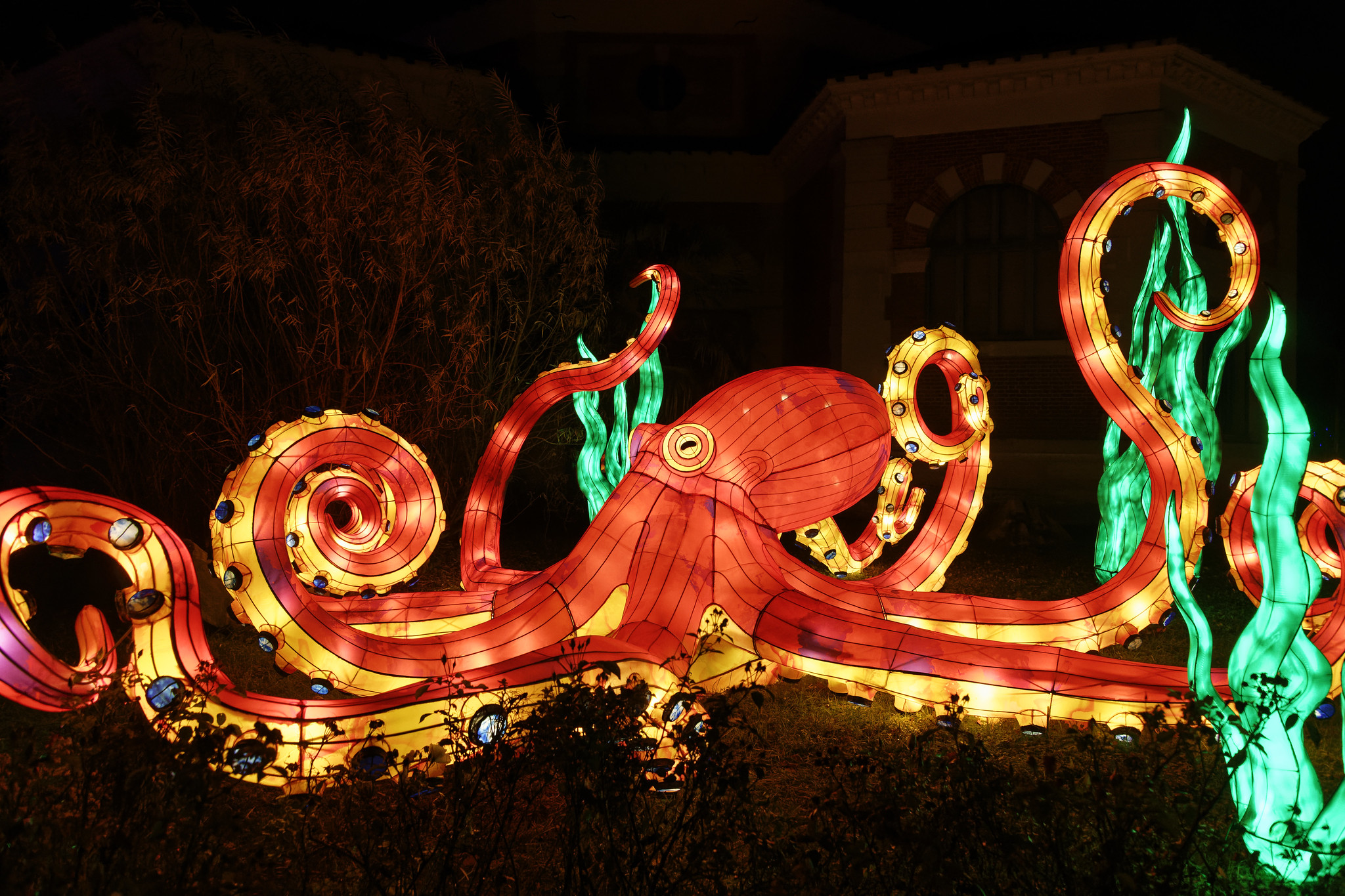 Lampe géante en forme de pulpe exposé au jardin des plantes pendant l'illumination 2019. Exposition à réédité pour le Jardin des plantes illuminations 2023 2024