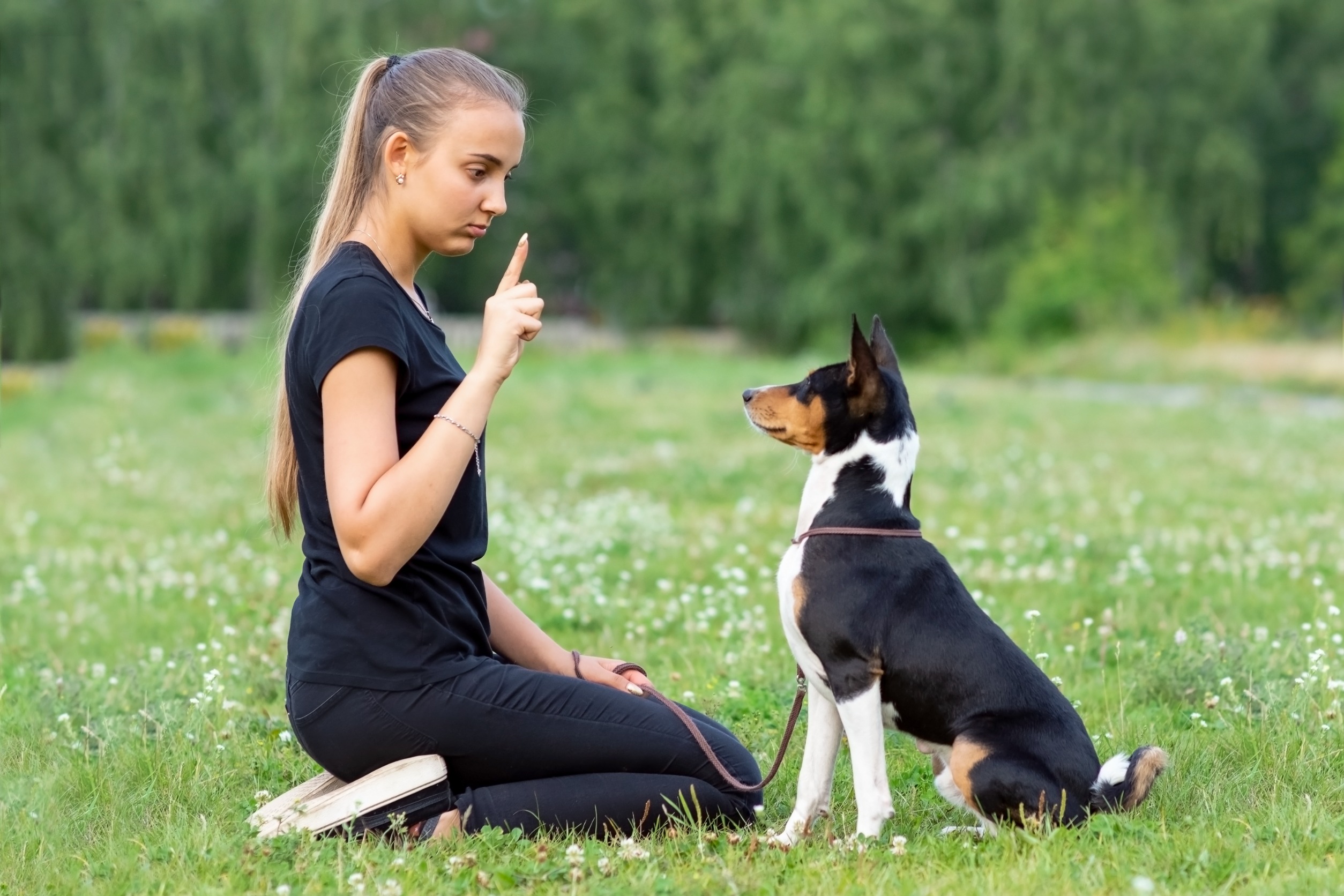 Photo d'une jeune fille à genoux donnant un ordre en levant le doigt devant son chien basenji dans le parc sur l'herbe