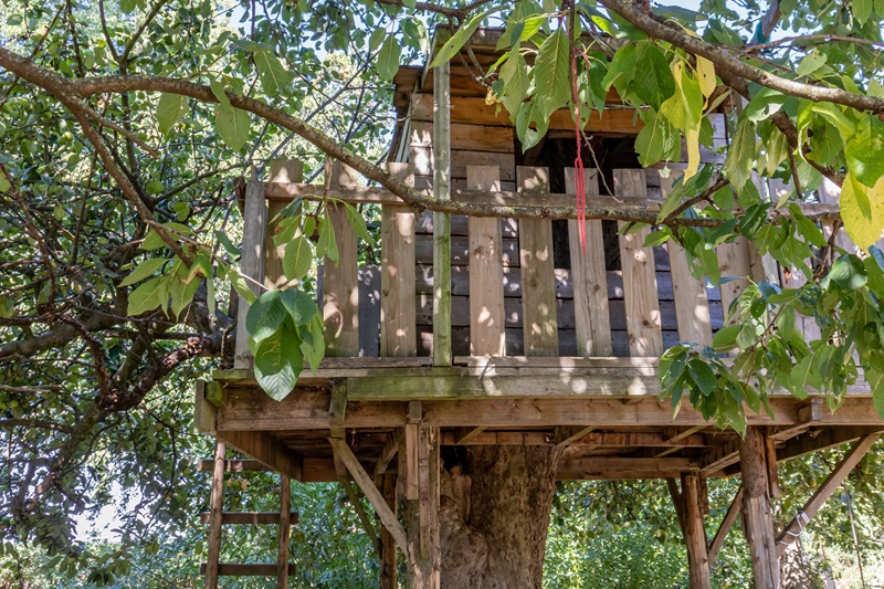 Une cabane enfant perché dans un arbre