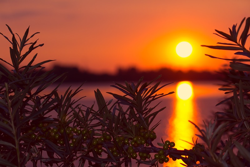 Jolie coucher du soleil