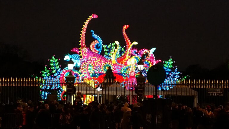 Photo éloignée du jardin des plantes avec des lampes en forme de dinosaure pendant l'illumination la nuit.